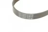 Ремень поликлиновый PSA Jumpy Expert, Fiat Scudo 2,0d 07> ContiTech Contitech 6PK1217 (фото 3)