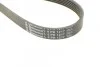 Ремень поликлиновый PSA Jumpy Expert, Fiat Scudo 2,0d 07> ContiTech Contitech 6PK1217 (фото 4)