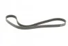 Ремень поликлиновый PSA Jumpy Expert, Fiat Scudo 2,0d 07> ContiTech Contitech 6PK1217 (фото 5)