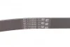 Ремень поликлиновый Toyota Rav4 2,0i 08>12, Corolla 1,6i 07>13, 13> ContiTech Contitech 6PK1230 (фото 2)
