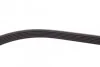 Ремень поликлиновый Toyota Rav4 2,0i 08>12, Corolla 1,6i 07>13, 13> ContiTech Contitech 6PK1230 (фото 4)