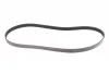 Ремень поликлиновый Toyota Rav4 2,0i 08>12, Corolla 1,6i 07>13, 13> ContiTech Contitech 6PK1230 (фото 5)