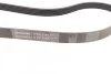 Ремень поликлиновый Ford Kuga I II 2,0TDCI S-max Focus III Mondeo IV ContiTech Contitech 6PK1244 (фото 2)