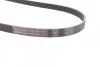 Ремень поликлиновый PSA Jumpy Expert 2,0HDI 10>, Ford Kuga 2,0TDCI 11> ContiTech Contitech 6PK1250 (фото 2)