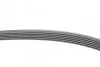 Ремень поликлиновый Hyundai i30 1,4i 1,6i 07>11, Hyundai Tucson 1,6GDI 1,6T-GDI 15>20 ContiTech Contitech 6PK1256 (фото 2)