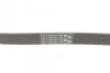 Ремень поликлиновый Hyundai i30 1,4i 1,6i 07>11, Hyundai Tucson 1,6GDI 1,6T-GDI 15>20 ContiTech Contitech 6PK1256 (фото 3)
