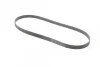 Ремень поликлиновый Hyundai i30 1,4i 1,6i 07>11, Hyundai Tucson 1,6GDI 1,6T-GDI 15>20 ContiTech Contitech 6PK1256 (фото 5)