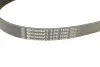 Ремень поликлиновый Ford Focus II C-max 1,8i 2,0i 04>07, Mazda 3 2,0i 03>09, 09> ContiTech Contitech 6PK1306 (фото 4)