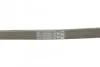 Ремень поликлиновый Fiat Doblo 1,3d 05> ContiTech Contitech 6PK1310 (фото 3)
