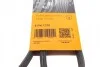 Ремень поликлиновый Opel Astra H 1,9CDTI 05> ContiTech Contitech 6PK1370 (фото 6)