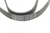 Ремень поликлиновый PSA Berlingo Jumpy 1,9D 98> ContiTech Contitech 6PK1440 (фото 4)