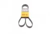 Ремень поликлиновый Ford Connect 1,8d 03>13 ContiTech Contitech 6PK1460 (фото 1)