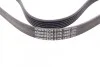 Ремень поликлиновый Ford Connect 1,8d 03>13 ContiTech Contitech 6PK1460 (фото 2)