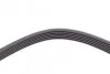 Ремень поликлиновый Ford Connect 1,8d 03>13 ContiTech Contitech 6PK1460 (фото 4)