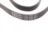 Ремень поликлиновый BMW 5E39 520i 523i 525i ContiTech Contitech 6PK1538 (фото 2)