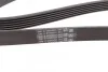 Ремень поликлиновый BMW 5E39 520i 523i 525i ContiTech Contitech 6PK1538 (фото 3)