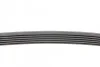 Ремень поликлиновый VW Bora Golf IV 1,6i 16V, X5e53 4,4i 4,8i, 7e65 740i 760i ContiTech Contitech 6PK1548 (фото 2)