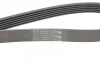Ремень поликлиновый VW Bora Golf IV 1,6i 16V, X5e53 4,4i 4,8i, 7e65 740i 760i ContiTech Contitech 6PK1548 (фото 3)