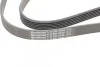 Ремень поликлиновый VW Bora Golf IV 1,6i 16V, X5e53 4,4i 4,8i, 7e65 740i 760i ContiTech Contitech 6PK1548 (фото 4)