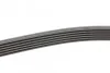 Ремень поликлиновый VW T5 2,0 TDI, Chevrolet Cruze 1,6i 1,8i ContiTech Contitech 6PK1555 (фото 2)