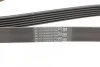 Ремень поликлиновый VW T5 2,0 TDI, Chevrolet Cruze 1,6i 1,8i ContiTech Contitech 6PK1555 (фото 3)