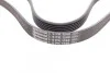 Ремень поликлиновый PSA Partner Berlingo 1,4i 1,6i 01>08 ContiTech Contitech 6PK1560 (фото 2)