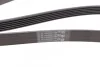 Ремень поликлиновый PSA Partner Berlingo 1,4i 1,6i 01>08 ContiTech Contitech 6PK1560 (фото 3)