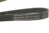Ремень генератора поликлиновый CONTINENTAL Contitech 6PK1570 (фото 4)