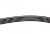 Ремень поликлиновый Audi A4 1,8i 2,0i 08> ContiTech Contitech 6PK1590 (фото 2)