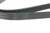Ремень поликлиновый Audi A4 1,8i 2,0i 08> ContiTech Contitech 6PK1590 (фото 3)