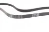 Ремень поликлиновый VW Crafter 2,0d ContiTech Contitech 6PK1613 (фото 2)