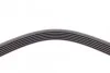 Ремень поликлиновый VW Crafter 2,0d ContiTech Contitech 6PK1613 (фото 3)