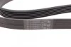 Ремень поликлиновый Opel Astra H 1,7d 04> ContiTech Contitech 6PK1623 (фото 2)