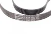 Ремень поликлиновый Opel Astra H 1,7d 04> ContiTech Contitech 6PK1623 (фото 3)
