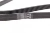 Ремень поликлиновый Peugeot Boxer 2,2HDI 11> ContiTech Contitech 6PK1642 (фото 2)