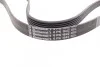 Ремень поликлиновый Peugeot Boxer 2,2HDI 11> ContiTech Contitech 6PK1642 (фото 3)