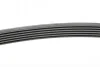 Ремень поликлиновый Skoda Octavia I 1,9TDI, VW Golf IV 1,9TDI ContiTech Contitech 6PK1660 (фото 2)