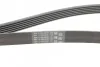 Ремень поликлиновый Skoda Octavia I 1,9TDI, VW Golf IV 1,9TDI ContiTech Contitech 6PK1660 (фото 3)
