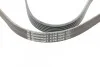 Ремень поликлиновый Skoda Octavia I 1,9TDI, VW Golf IV 1,9TDI ContiTech Contitech 6PK1660 (фото 4)