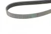Ремень поликлиновый Fiat Doblo 1,3MJet 10>, Ford Tranzit 2,2 TDCI 06> ContiTech Contitech 6PK1670 (фото 3)