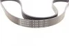 Ремень поликлиновый Toyota Corolla 1,4i 1,6i 02>06 ContiTech Contitech 6PK1693 (фото 2)