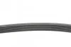 Ремень поликлиновый Peugeot Partner 1,6HDI 05>, 08> ContiTech Contitech 6PK1705 (фото 2)