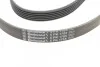 Ремень поликлиновый Peugeot Partner 1,6HDI 05>, 08> ContiTech Contitech 6PK1705 (фото 3)