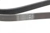 Ремень поликлиновый Peugeot Partner 1,6HDI 05>, 08> ContiTech Contitech 6PK1705 (фото 4)