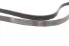 Ремень поликлиновый Peugeot Partner II 1,6d 08> ContiTech Contitech 6PK1710 (фото 2)