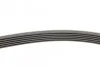 Ремень поликлиновый VW LT 2,5TDI, Ford Connect 1,8D 02>07 ContiTech Contitech 6PK1715 (фото 2)