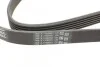 Ремень поликлиновый VW LT 2,5TDI, Ford Connect 1,8D 02>07 ContiTech Contitech 6PK1715 (фото 3)