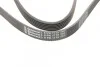 Ремень поликлиновый VW LT 2,5TDI, Ford Connect 1,8D 02>07 ContiTech Contitech 6PK1715 (фото 4)