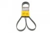 Ремень поликлиновый Ford Tranzit Connect 1,8d 07> ContiTech Contitech 6PK1743 (фото 1)