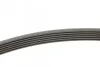 Ремень поликлиновый Ford Tranzit Connect 1,8d 07> ContiTech Contitech 6PK1743 (фото 2)